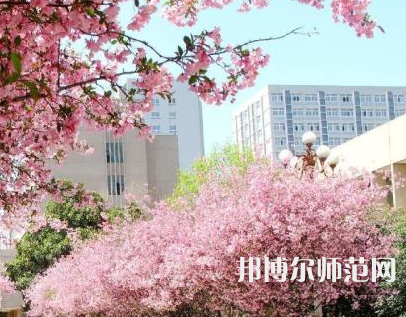 中國(guó)礦業(yè)師范大學(xué)徐海學(xué)院2023年報(bào)名條件、招生要求、招生對(duì)象