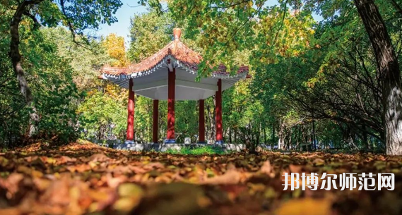 黑龍江師范大學(xué)2023年報名條件、招生要求、招生對象 