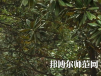 湖南師范大學樹達學院2023年學費、收費多少