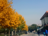 西北師范大學2023年怎么樣、好不好