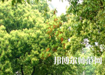 衡陽師范學(xué)院南岳學(xué)院2023年怎么樣、好不好