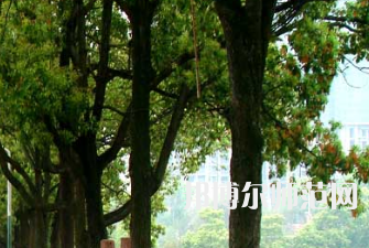 衡陽師范學(xué)院南岳學(xué)院2023年怎么樣、好不好