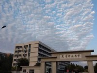 天津師范大學(xué)2023年招生計(jì)劃