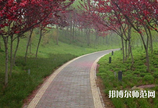 西安電子科技師范大學(xué)北校區(qū)2023年有哪些專(zhuān)業(yè)